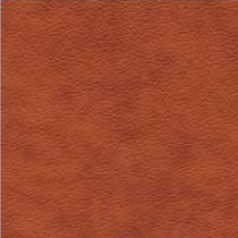 Lambada Leather: Cognac 2316