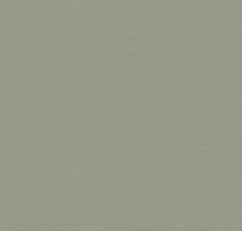 Puxx-1: Groen 6441