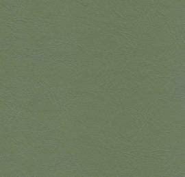 Puxx-1: Groen 6442