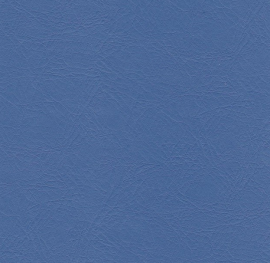 Puxx-1: Blauw 7606