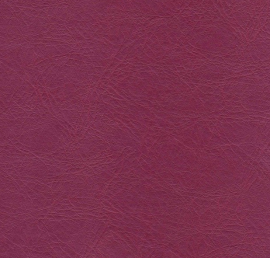 Puxx-1: Rood 9531