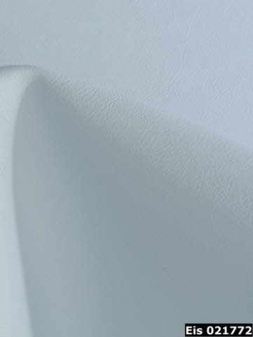 Amalfi fit: Keuze 38