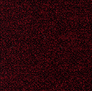 Camira 24/7: Minute WK008