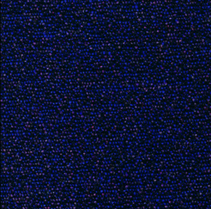 Camira 24/7: Era WK009