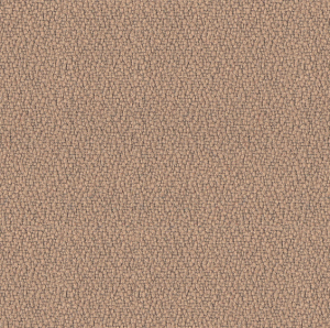 Xtreme: Sandstorm